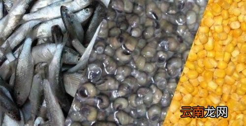 冬天螃蟹和什么搭配好