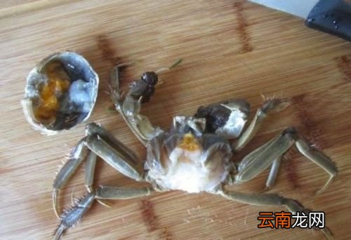 螃蟹和什么搭配最合适