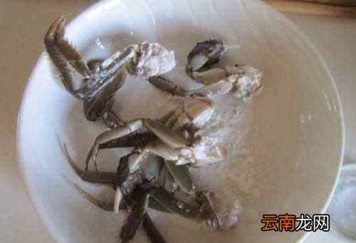 螃蟹和什么搭配最合适