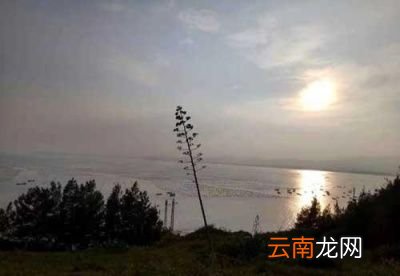 0防晒防的是什么