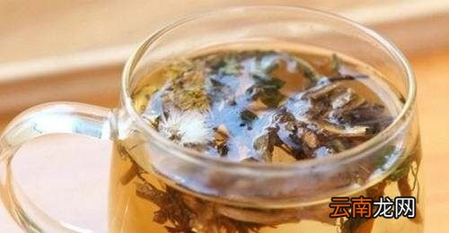 野生蒲公英怎么泡水喝