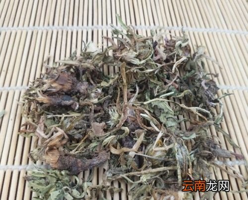 野生蒲公英怎么泡水喝