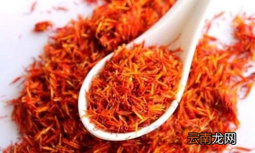 藏红花与什么泡酒最好