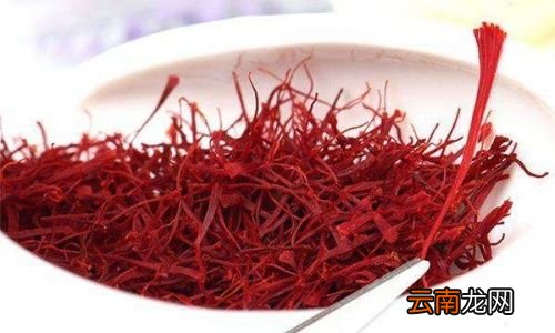 藏红花与什么泡酒最好