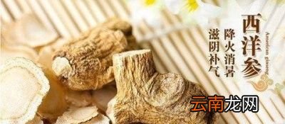 这个西洋参到底有什么作用呢