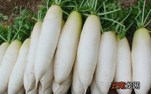 白萝卜切开发蓝能吃吗