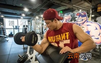 比较胖应该先减脂还是增肌