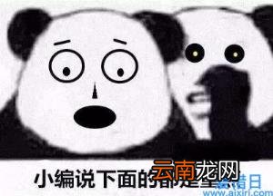 sd卡数据恢复软件推荐 闪存卡数据恢复软件