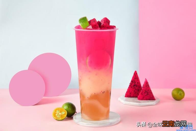 加盟奈雪的茶大概要费用 水果茶的加盟品牌