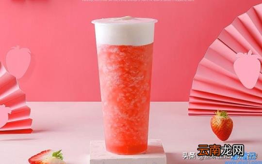 加盟奈雪的茶大概要费用 水果茶的加盟品牌