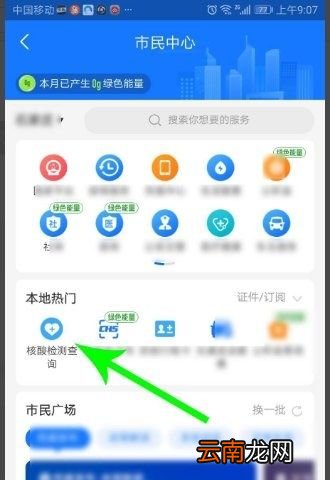 怎么查询最新的检测结果