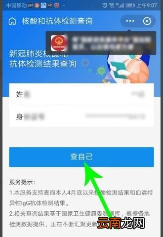 怎么查询最新的检测结果
