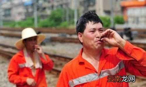 藿香正气水的正气是什么