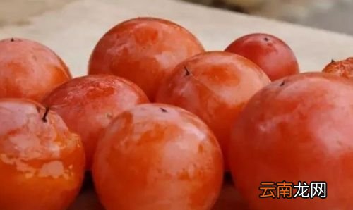 柿子能和桂圆一块吃吗