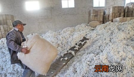 聚酯纤维的面料哪种好