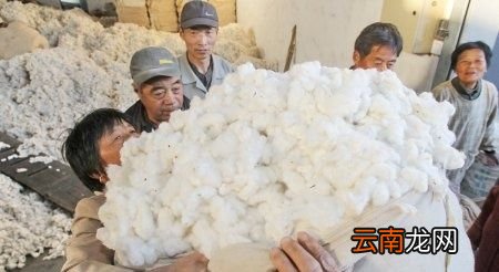 聚酯纤维舒适面料是纯棉吗