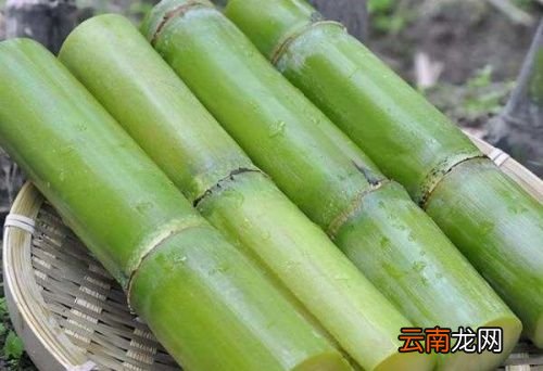 甘蔗青皮为什么会变红