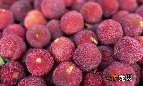 杨梅长毛了还能泡酒吗