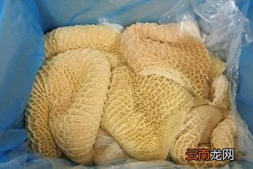 毛肚跟牛肚是什么区别