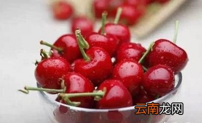车厘子与樱桃是同一种水果吗