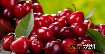 樱桃和车厘子有何关系是一种吗