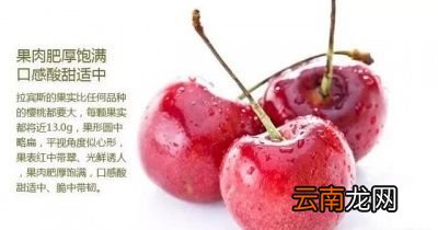 问樱桃和车厘子有区别吗