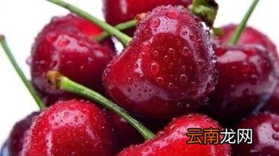问樱桃和车厘子有区别吗