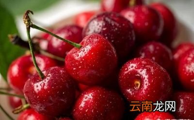 为什么中国不种车厘子好的樱桃品种