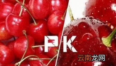 哪到底车厘子和樱桃有什么差别呢