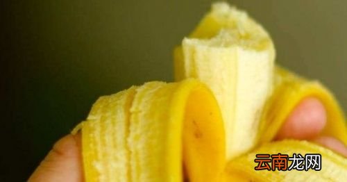 冬枣不能和什么一起吃