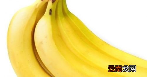 冬枣不能和什么一起吃