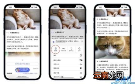 苹果退出放大模式 苹果手机放大镜怎么关闭