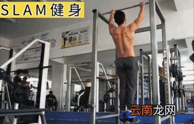 教你如何从0开始做引体向上