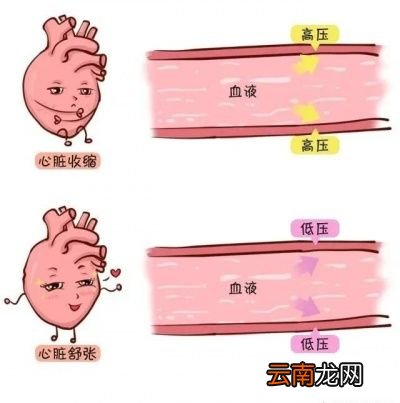 什么是血压高压和低压又是指什么
