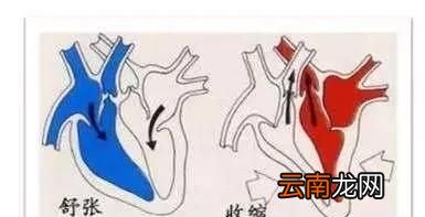 什么是高压什么是低压呢