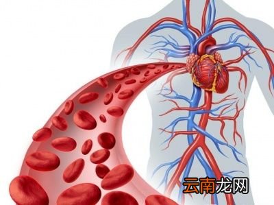 血压是如何产生的