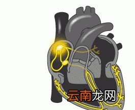 血压是如何产生的