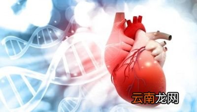 为什么会有收缩压和舒张压