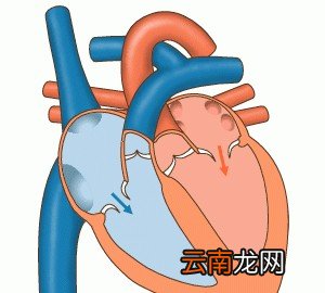 人体的血压是如何形成的