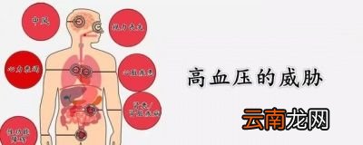 人体的血压是如何形成的