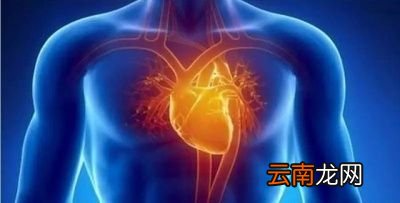 血压的高压与低压哪个更重要
