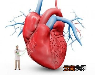 血压的高压与低压哪个更重要