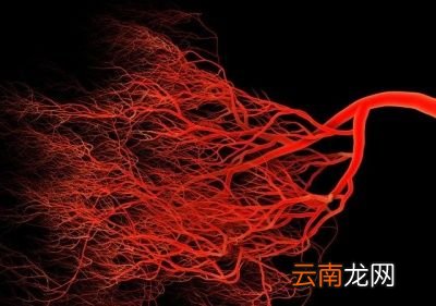 血压到底看高压还是低压