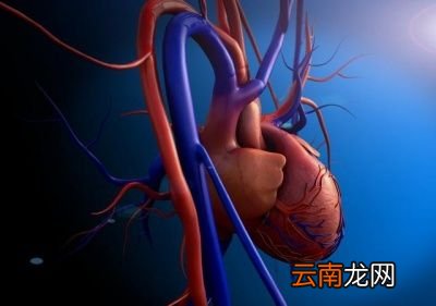 血压监测中高压重要还是低压重要