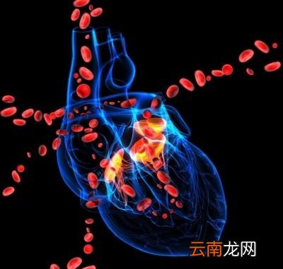 血压监测中高压重要还是低压重要