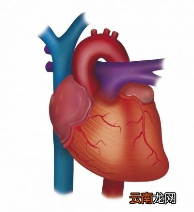 血压监测中高压重要还是低压重要