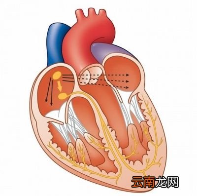 血压监测中高压重要还是低压重要