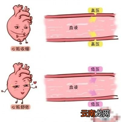 什么是低压低压高是什么原因造成的