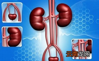 两者有什么区别呢