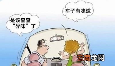 最后清除车内异味的简单方法